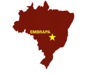 Map of Brazil with Embrapa's location starred
