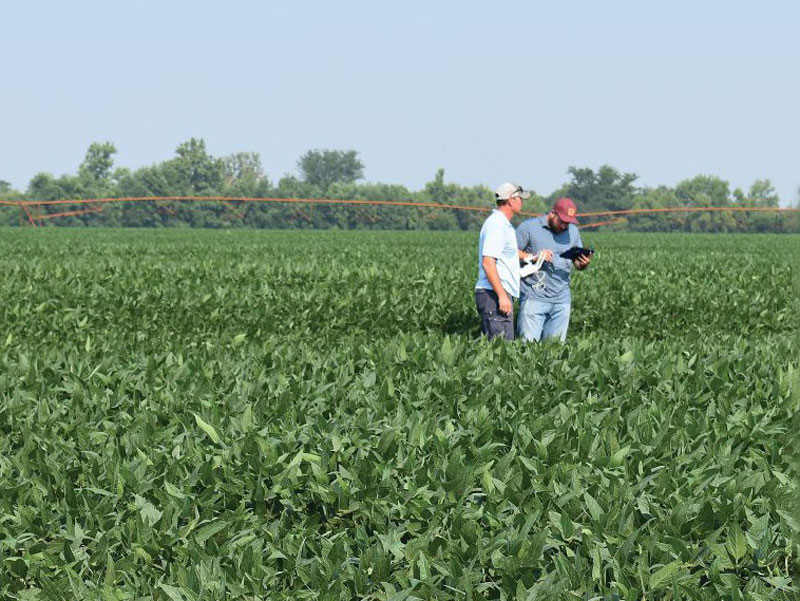 2 men standing in a field