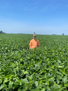 Person standing in soybean field.