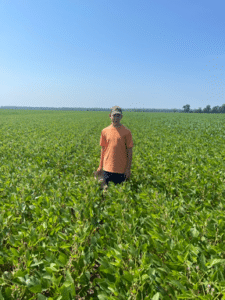 Person standing in soybean field